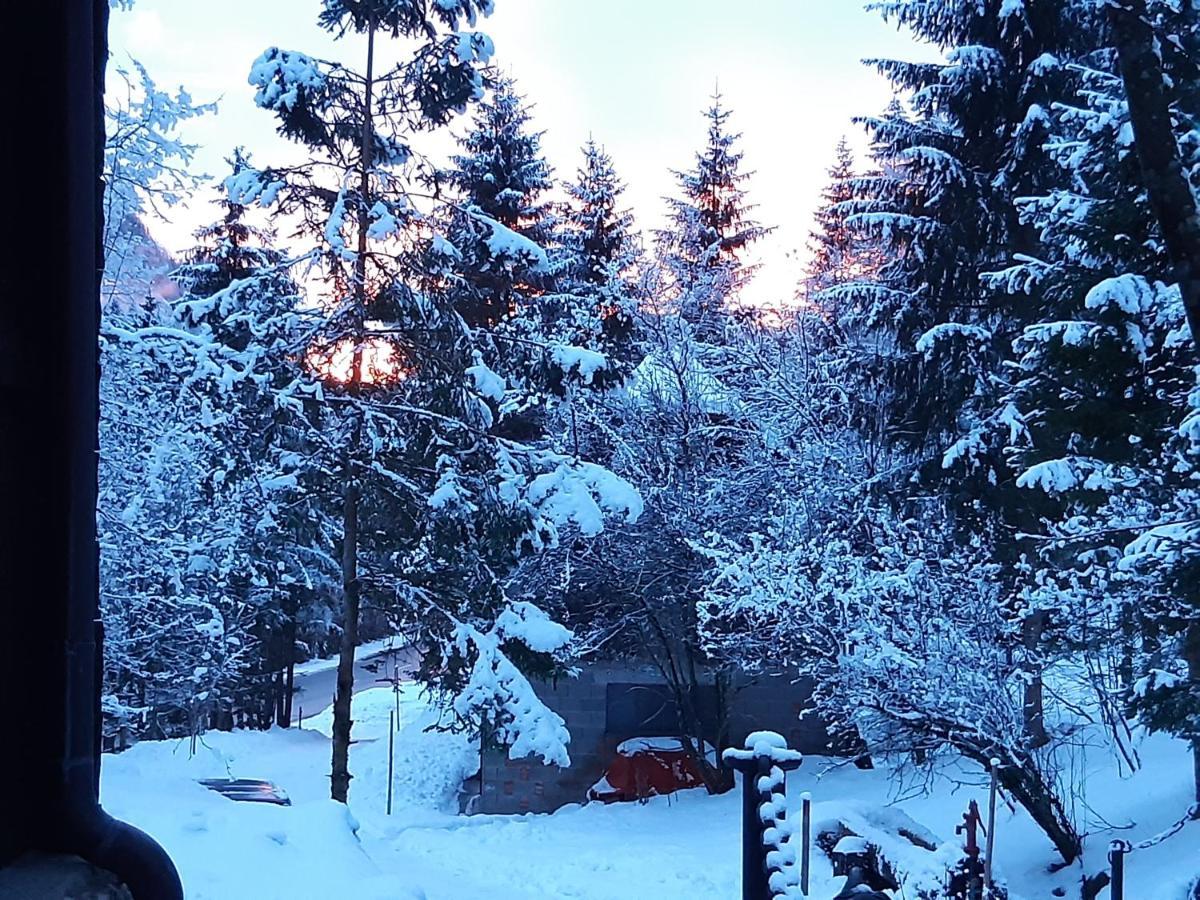 Ferienhaus Blommers بالفو المظهر الخارجي الصورة