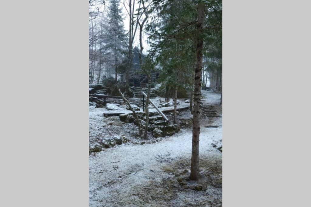 Ferienhaus Blommers بالفو المظهر الخارجي الصورة