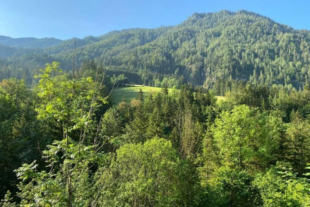Ferienhaus Blommers بالفو المظهر الخارجي الصورة