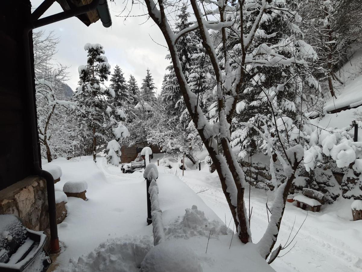 Ferienhaus Blommers بالفو المظهر الخارجي الصورة